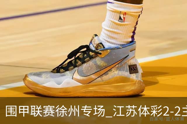 围甲联赛徐州专场 江苏体彩2-2主将负重庆坎济